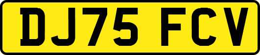 DJ75FCV