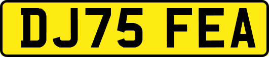 DJ75FEA
