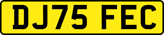 DJ75FEC