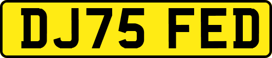 DJ75FED
