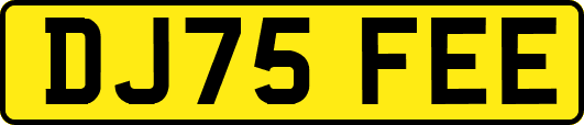 DJ75FEE