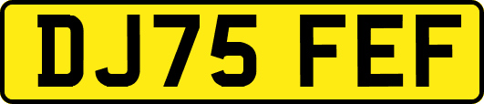 DJ75FEF