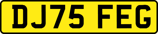 DJ75FEG