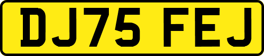 DJ75FEJ
