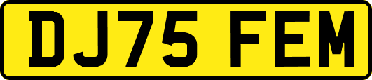 DJ75FEM