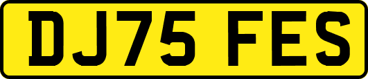 DJ75FES
