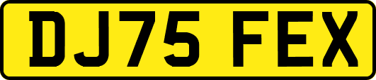 DJ75FEX