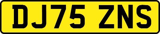 DJ75ZNS