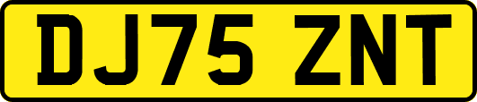 DJ75ZNT