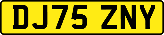DJ75ZNY