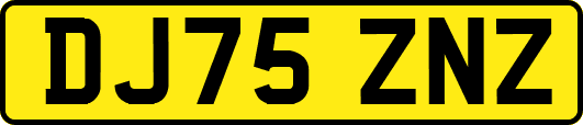 DJ75ZNZ