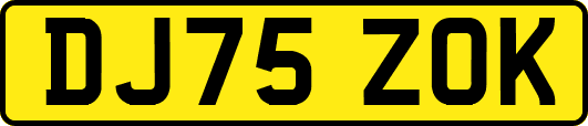 DJ75ZOK