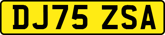 DJ75ZSA