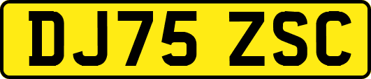 DJ75ZSC