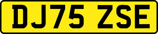 DJ75ZSE