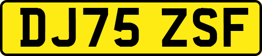 DJ75ZSF