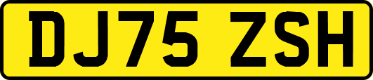 DJ75ZSH