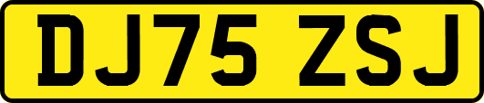 DJ75ZSJ