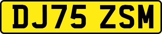 DJ75ZSM