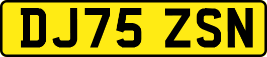 DJ75ZSN