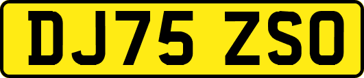 DJ75ZSO