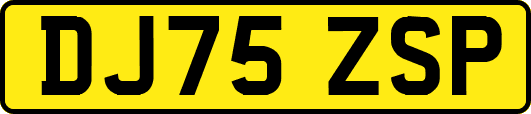DJ75ZSP