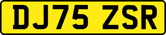 DJ75ZSR