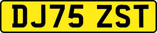 DJ75ZST