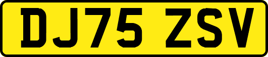 DJ75ZSV