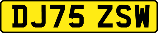 DJ75ZSW