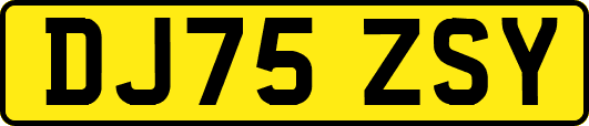 DJ75ZSY