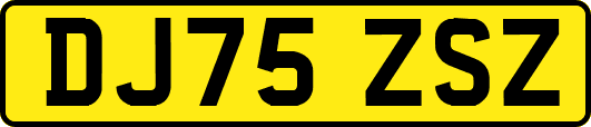 DJ75ZSZ