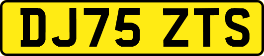 DJ75ZTS