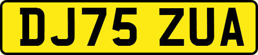 DJ75ZUA