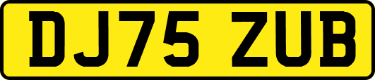 DJ75ZUB
