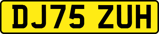 DJ75ZUH