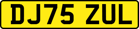 DJ75ZUL