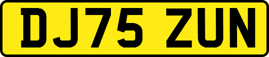 DJ75ZUN