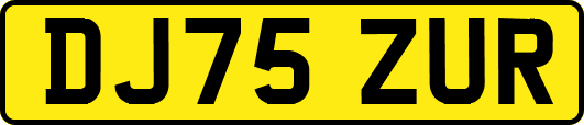 DJ75ZUR