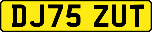 DJ75ZUT