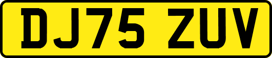 DJ75ZUV