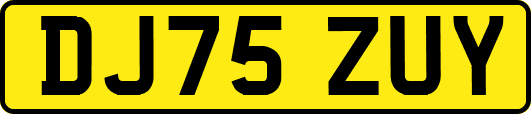 DJ75ZUY