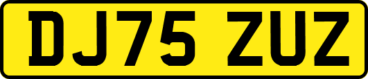 DJ75ZUZ