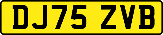 DJ75ZVB