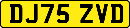 DJ75ZVD