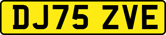 DJ75ZVE