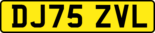DJ75ZVL