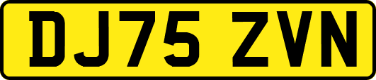 DJ75ZVN