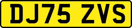 DJ75ZVS