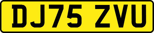DJ75ZVU